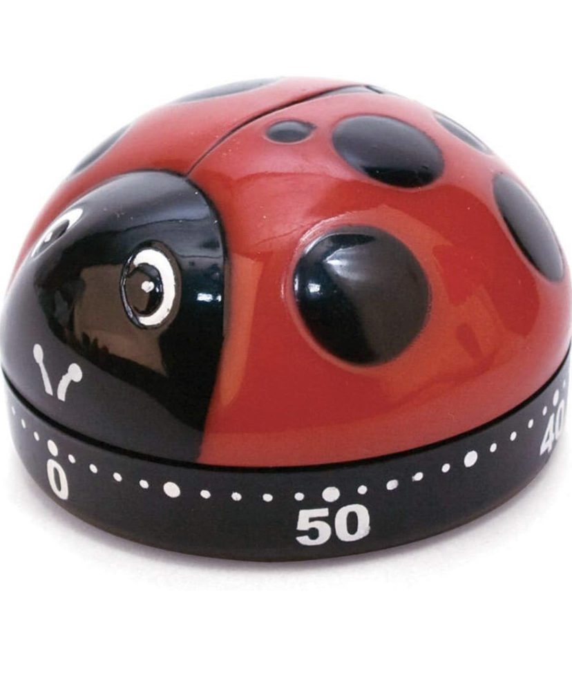 Kikkerland Ladybug Kitchen Timer